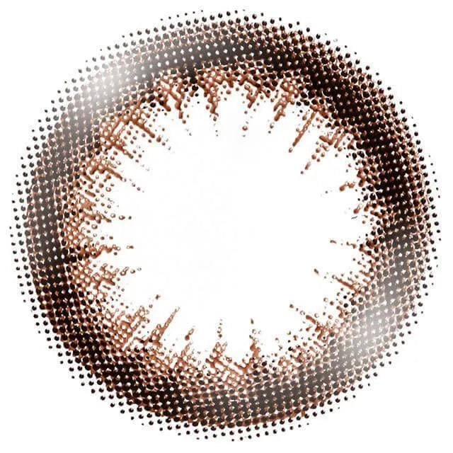 EYE CLOSET 1DAY 14.5mm GAUSS CHOCOLAT(1BOX 10SHEETS) 1