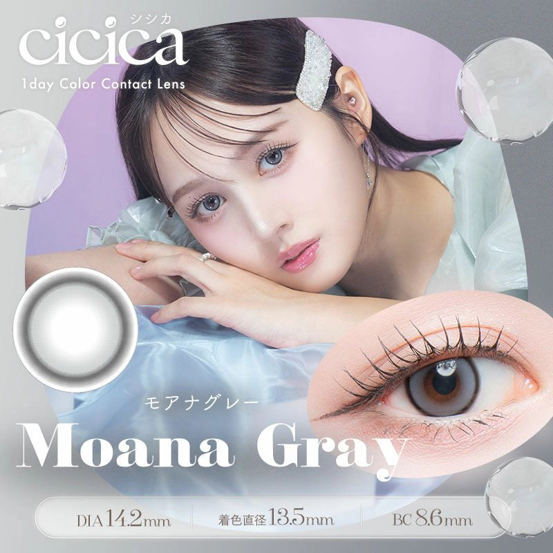 CICICA 1DAY MOANA GRAY(1BOX 10SHEETS) MAIN IMAGE