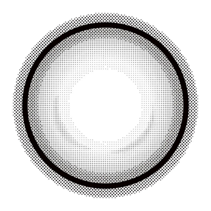 EYE CLOSET 1DAY 14.5mm HOLO GRAY(1BOX 10SHEETS) 1