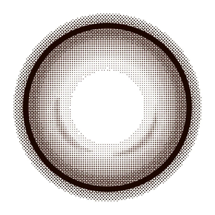 EYE CLOSET 1MONTH 14.5mm HOLO BROWN(1BOX 2SHEETS) 1