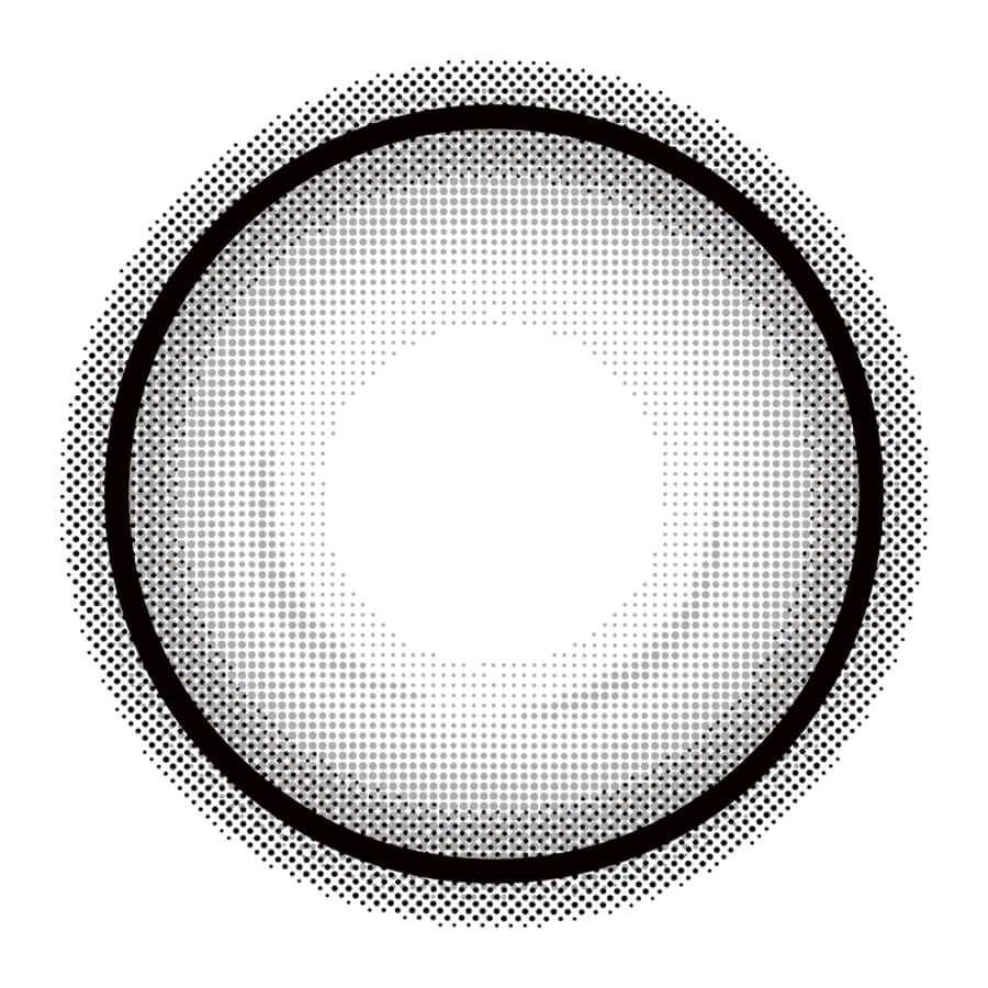 EYE CLOSET 1MONTH 14.5mm HOLO GRAY(1BOX 2SHEETS) 1