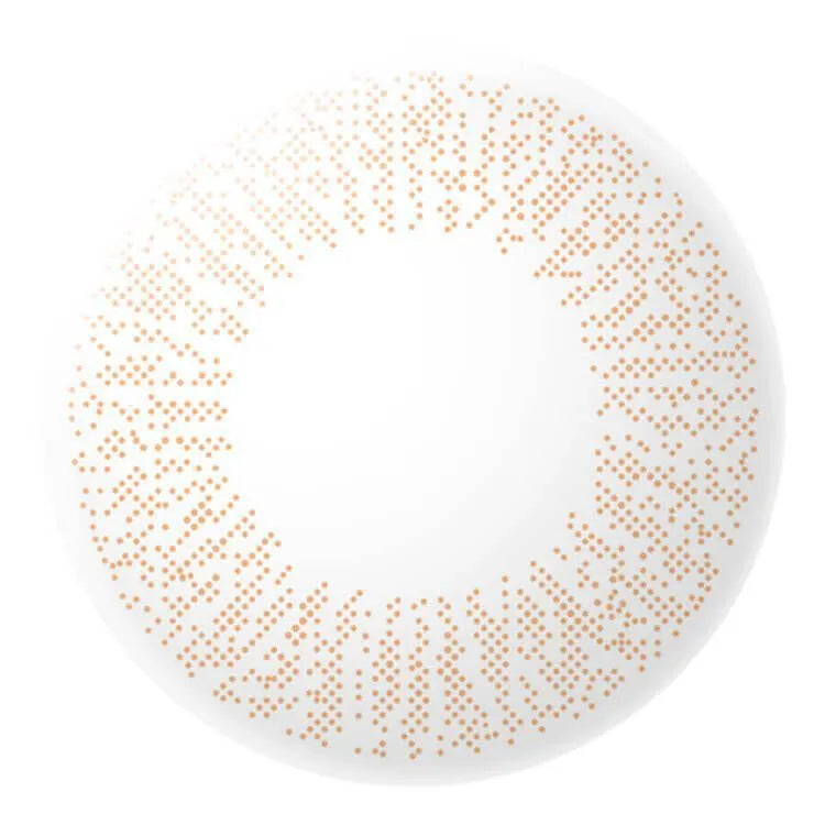 EYE CLOSET 1DAY MOIST UV 14.0mm BROWN COFFRET(1BOX 10SHEETS) 1