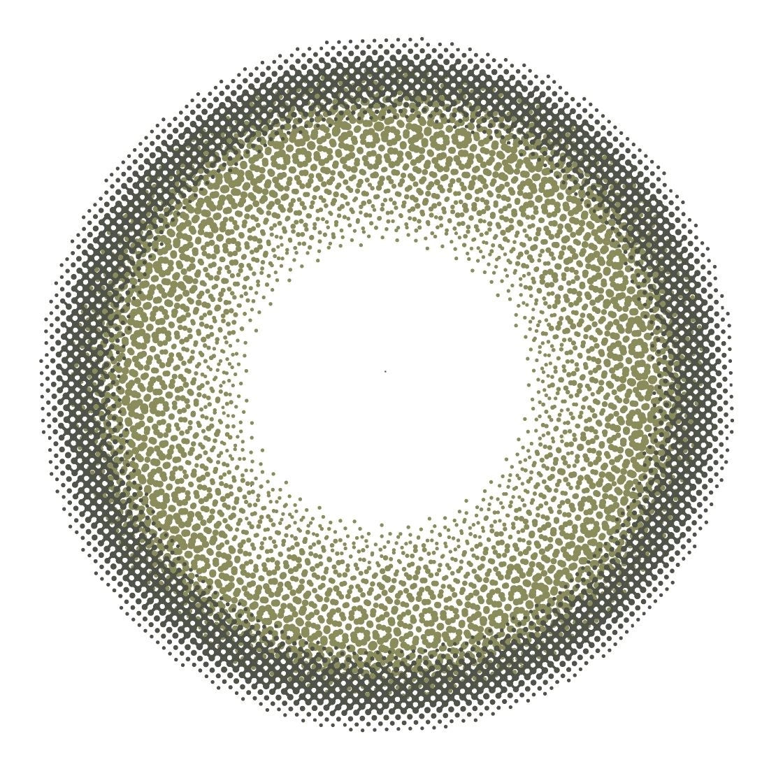 RAIN 1DAY SIBERIAN OLIVE(1BOX 10SHEETS) 1