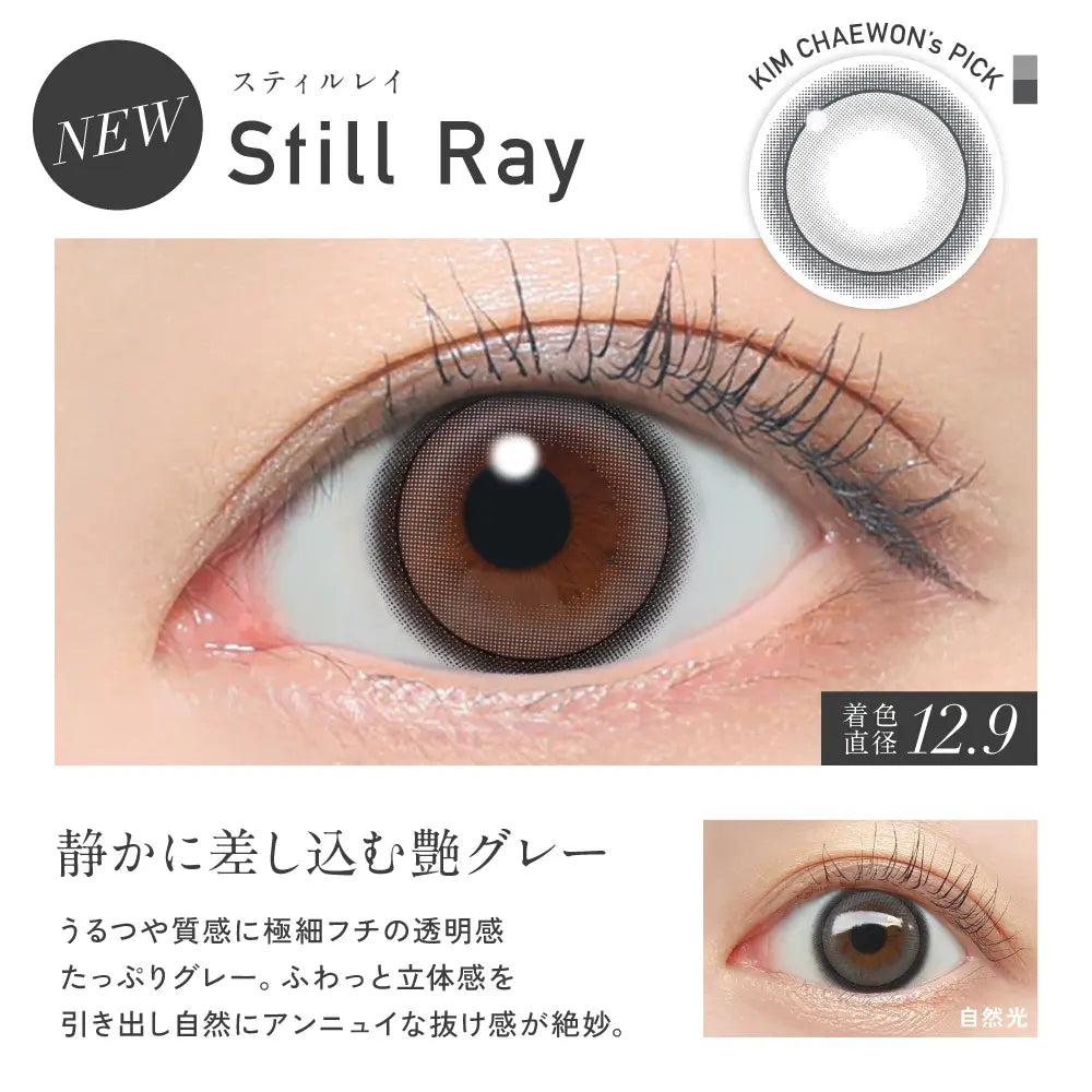 REVIA 1DAY COLOR STILL RAY(1BOX 10SHEETS) 0