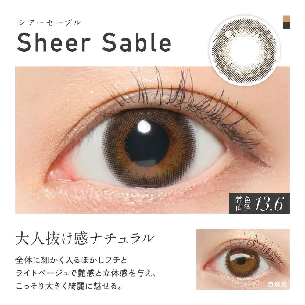 REVIA 1MONTH COLOR SHEER SABLE(1BOX 2SHEETS) 0