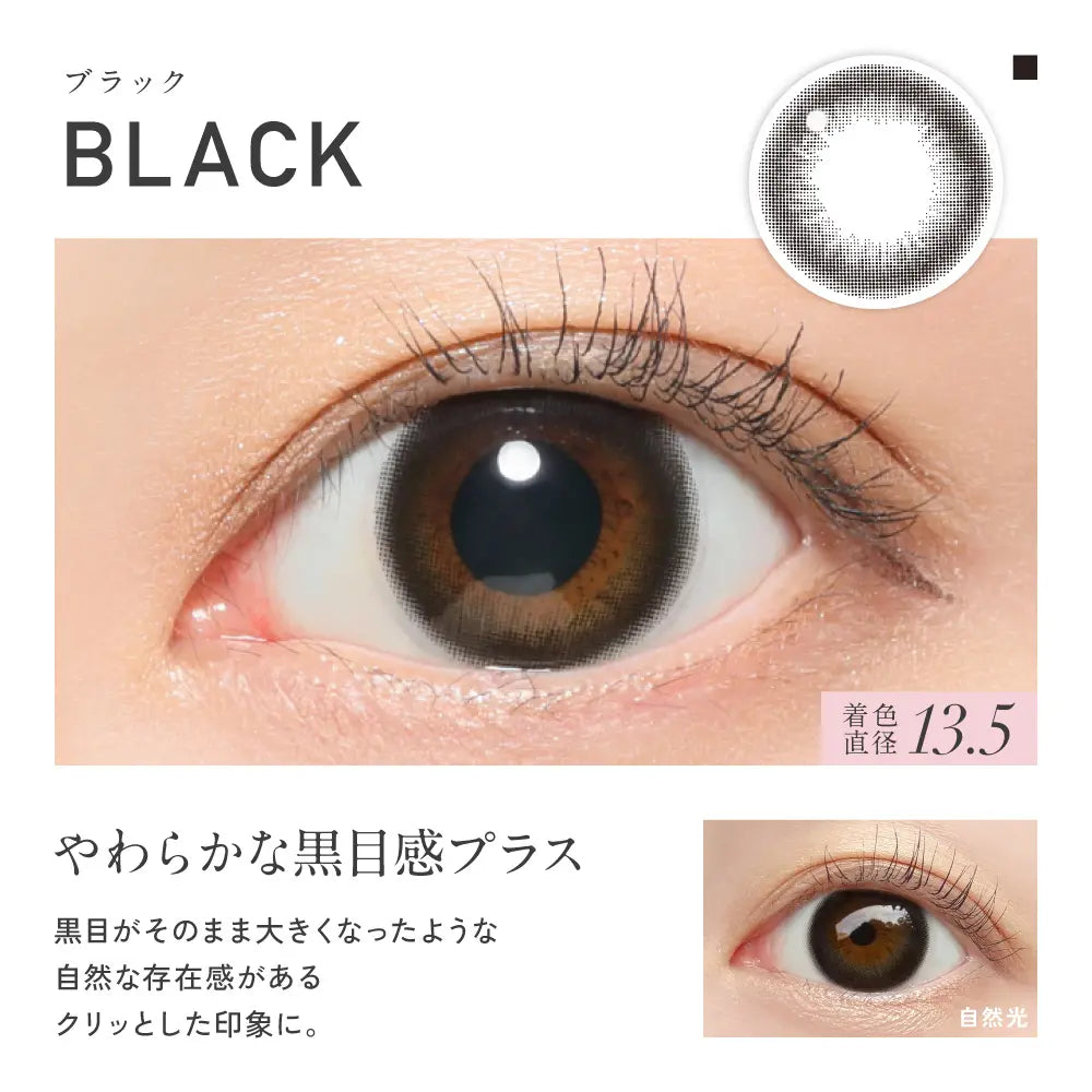 REVIA 1DAY CIRCLE BLACK(1BOX 10SHEETS) 0