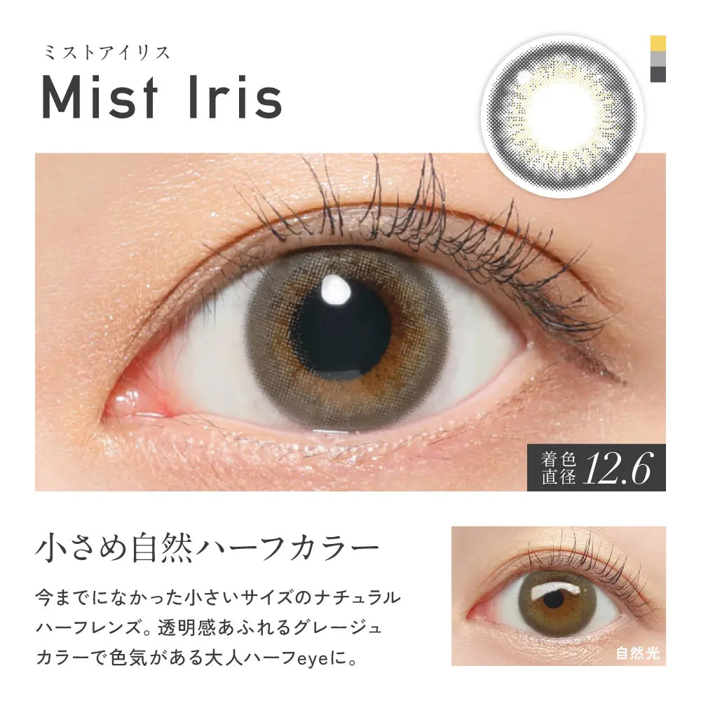 REVIA 1DAY COLOR MIST IRIS(1BOX 10SHEETS) 0