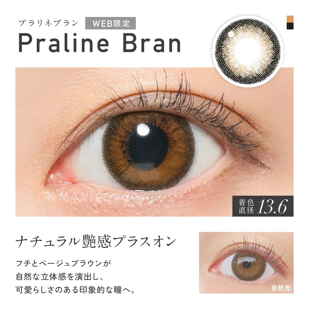 REVIA 1DAY COLOR PRALINE BRAN(1BOX 10SHEETS) 0
