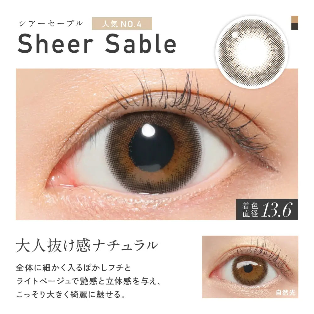 REVIA 1DAY COLOR SHEER SABLE(1BOX 10SHEETS) 0