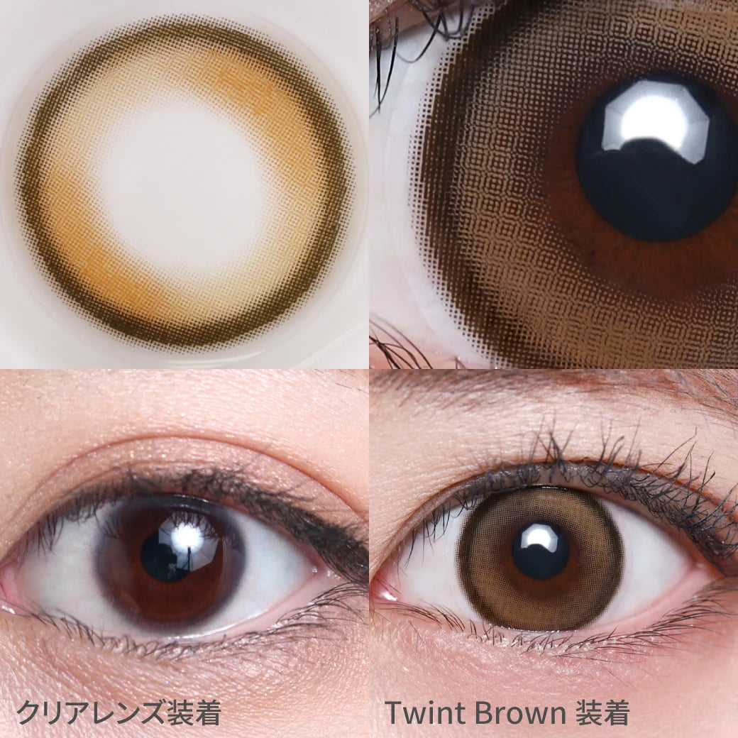 TEAMO 1MONTH AQUERE SERIES TWINT BROWN(1BOX 1SHEET) 0