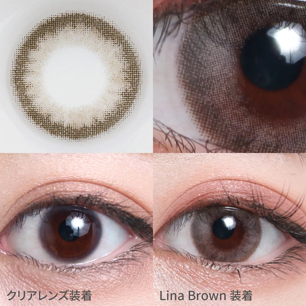 TEAMO 1MONTH CHERIA SERIES LINA BROWN(1BOX 1SHEET) 0
