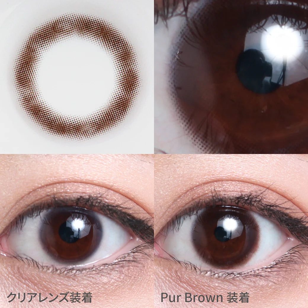 TEAMO 1MONTH BASIC MOOD SERIES PUR BROWN(1BOX 1SHEET) 0