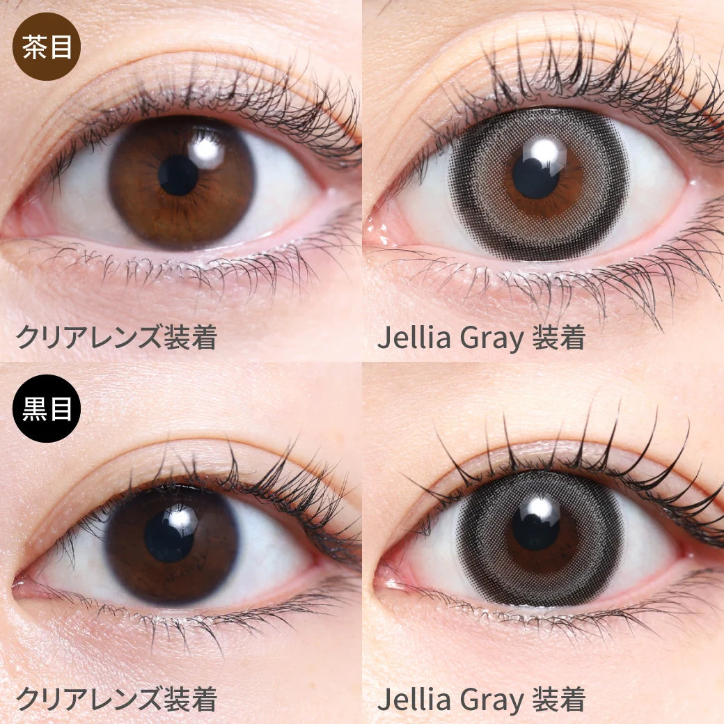 TEAMO 1DAY DEKAME TYPE JELLIA GRAY(1BOX 10SHEETS) 0
