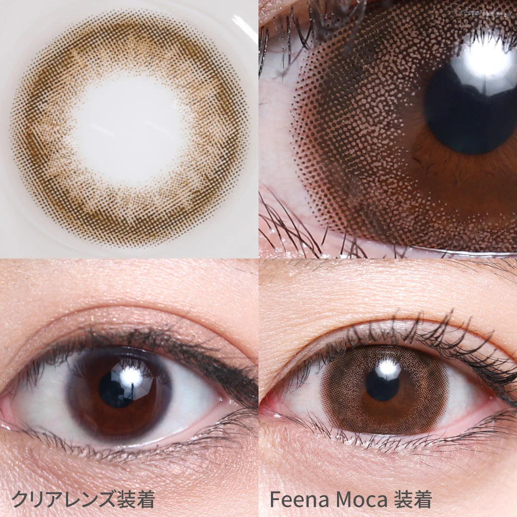 TEAMO 1MONTH ALLURE SEIRES FEENA MOCA(1BOX 1SHEET) 0