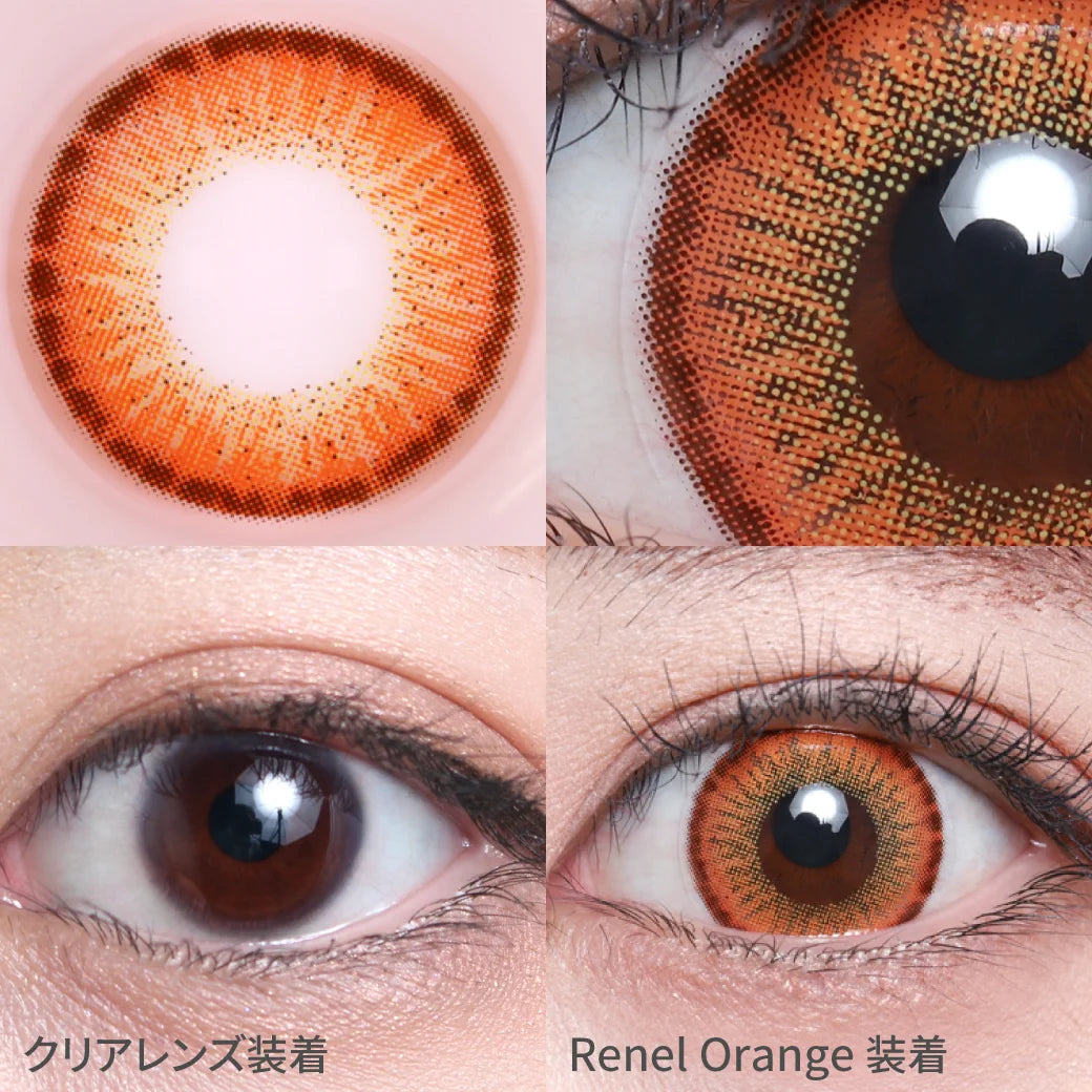 TEAMO 1MONTH EDEL SERIES RENAL ORANGE(1BOX 1SHEET) 0