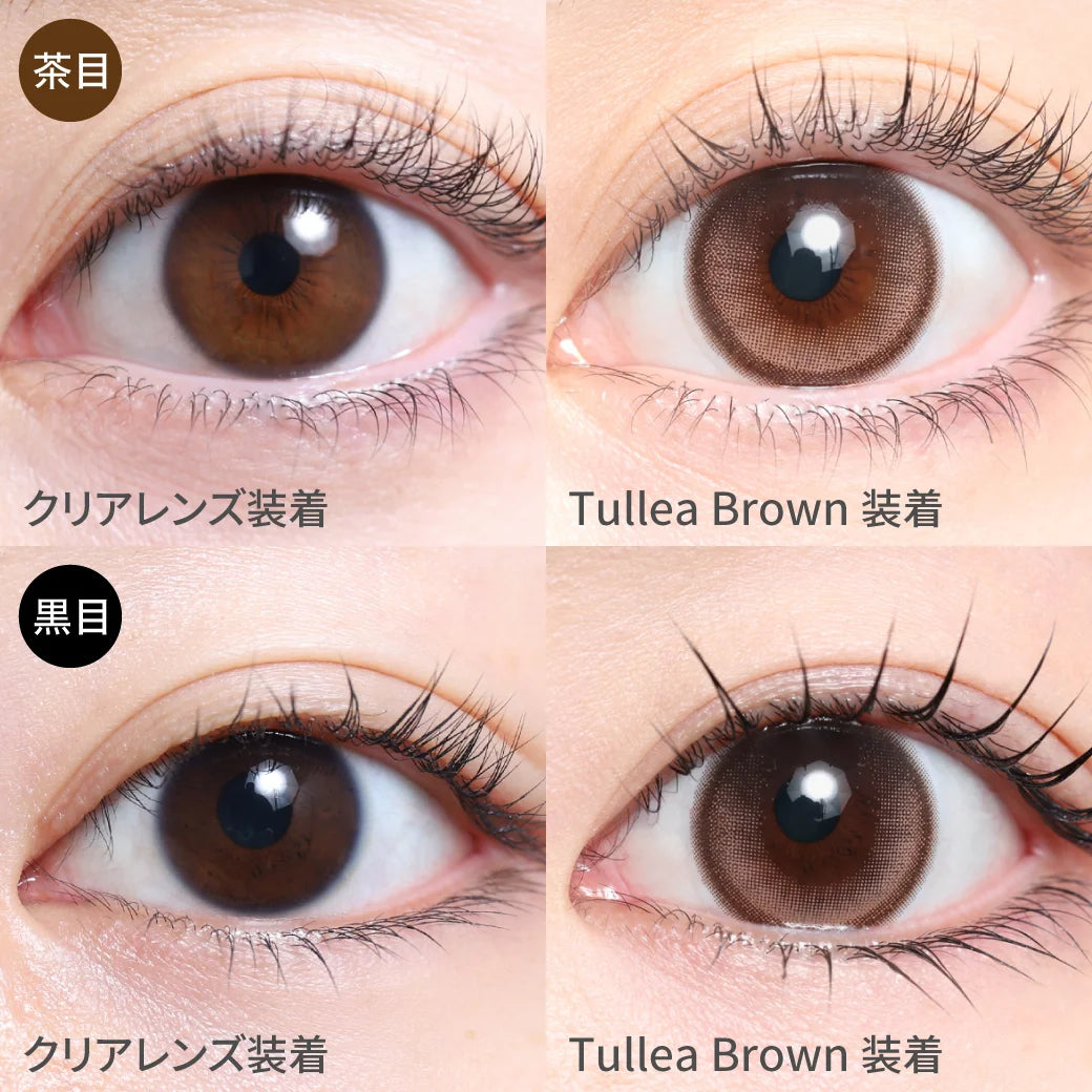 TEAMO 1DAY NATURAL HALF TYPE TULLEA BROWN(1BOX 10SHEETS) 1