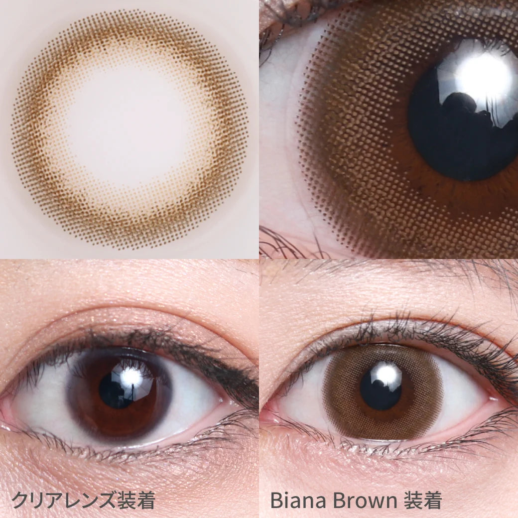 TEAMO 1DAY CHERIA SERIES BIANA BROWN(1BOX 10SHEETS) 0