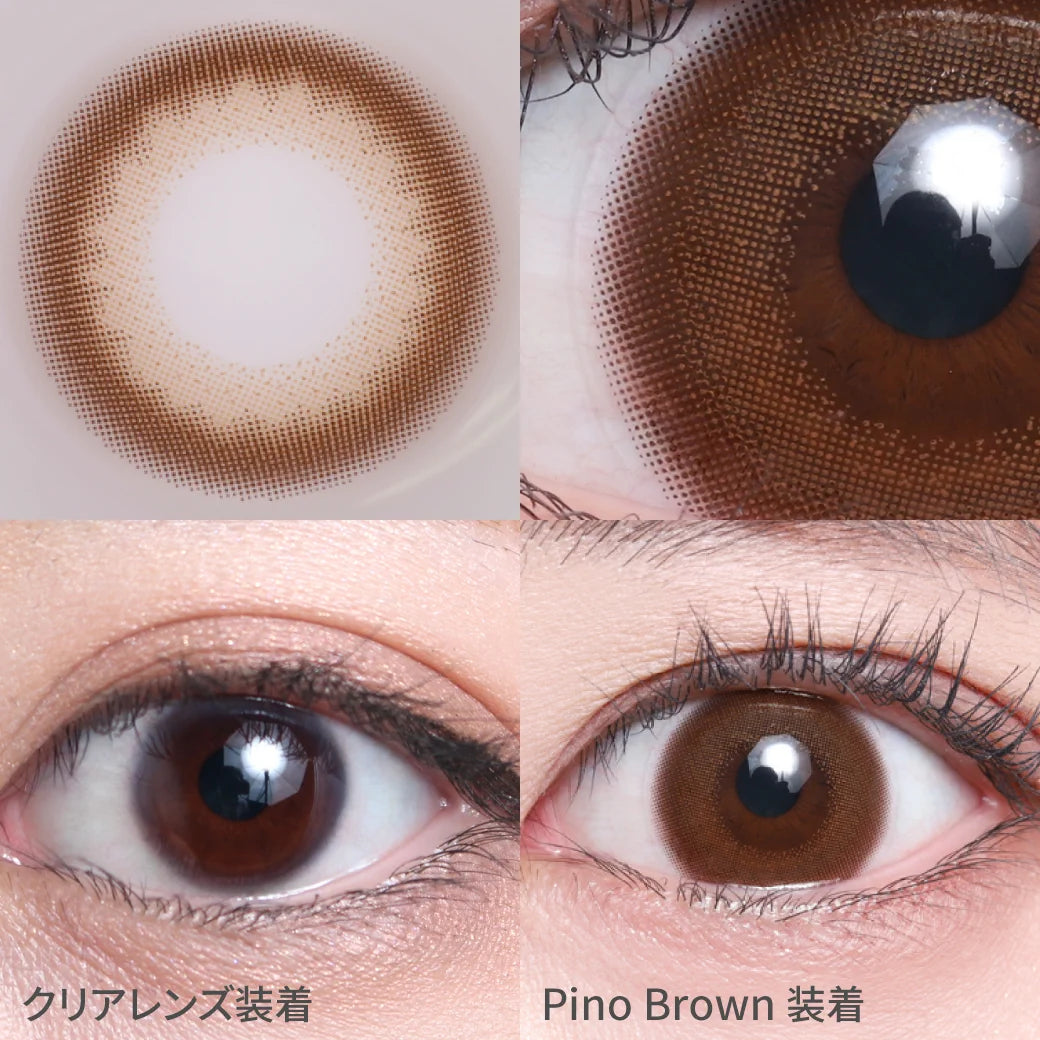 TEAMO 1DAY NATURALTYPE PINO BROWN(1BOX 10SHEETS) 0