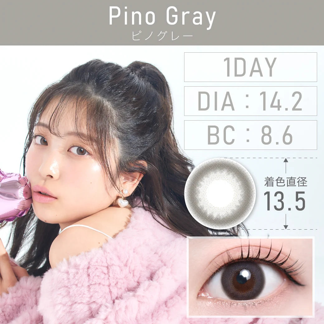 TEAMO 1DAY NATURALTYPE PINO GRAY(1BOX 10SHEETS) MAIN IMAGE