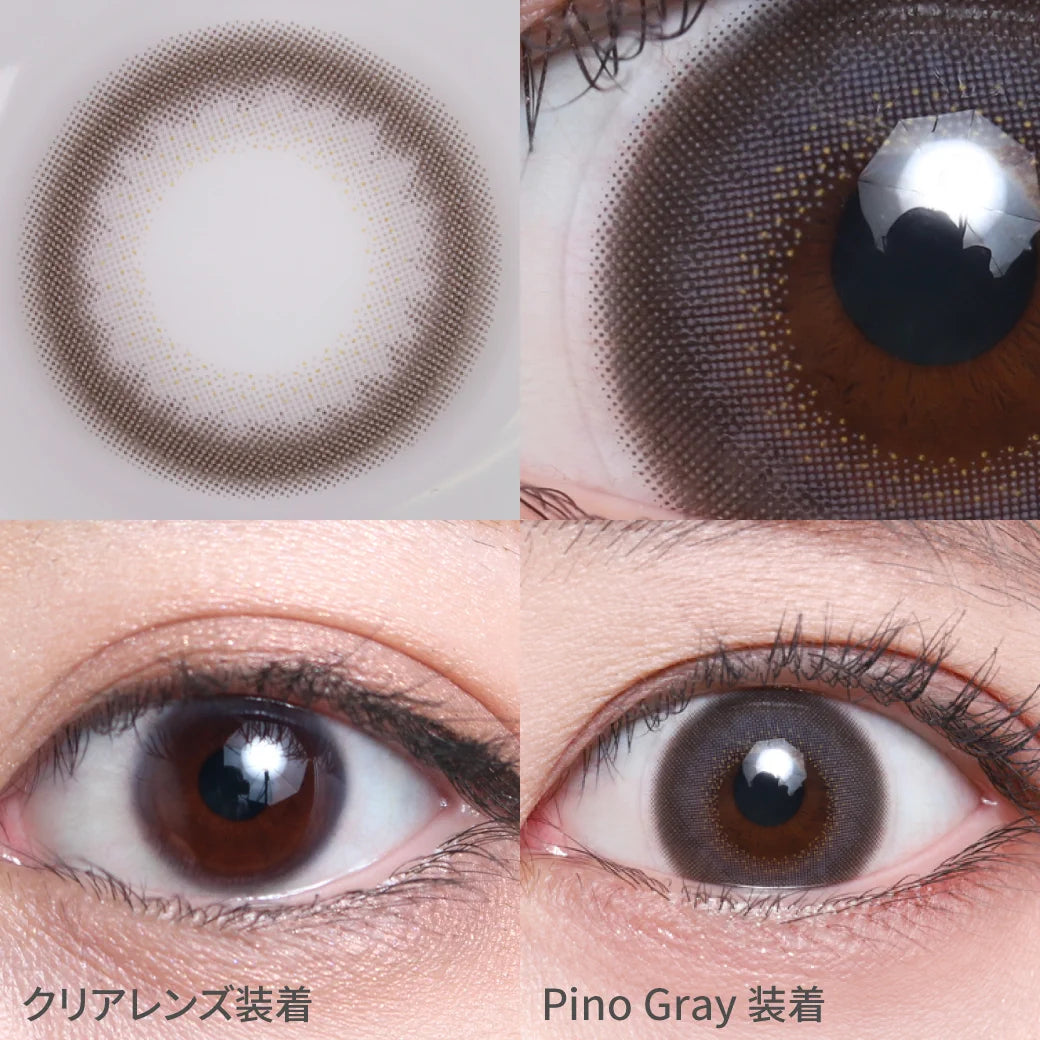 TEAMO 1DAY NATURALTYPE PINO GRAY(1BOX 10SHEETS) 0
