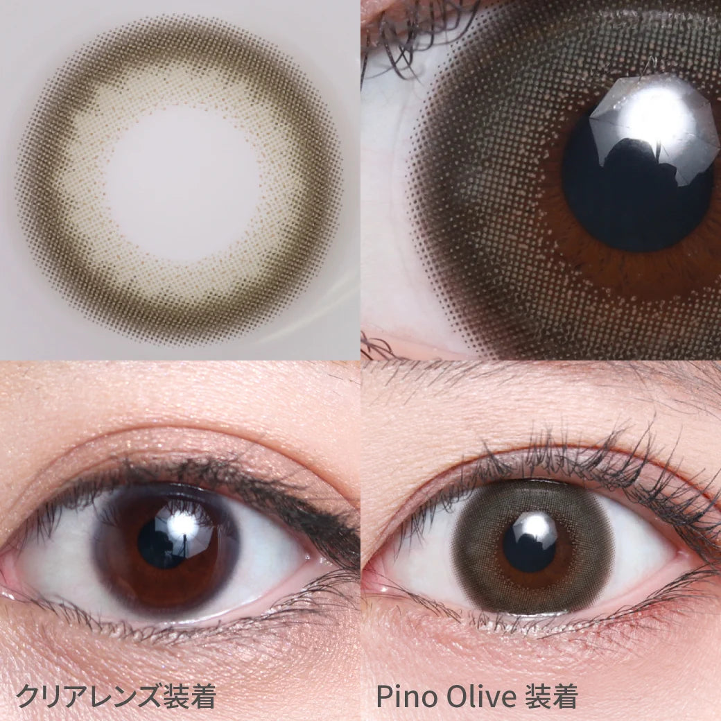 TEAMO 1DAY NATURALTYPE PINO OLIVE(1BOX 10SHEETS) 0
