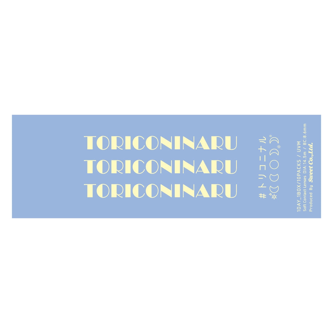 TORIKONINARU 1DAY DEKIAI GRAY(1BOX 10SHEETS) 2