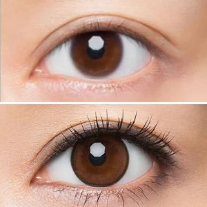 ENVIE 1DAY CHAMEAU BROWN(1BOX 10SHEETS) 1