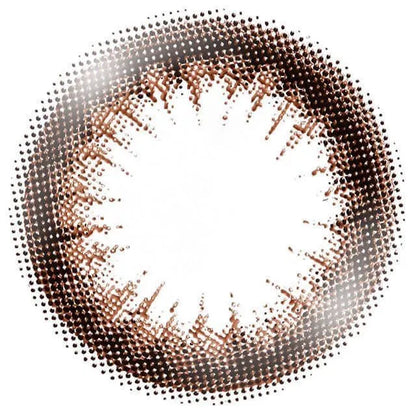 EYE CLOSET 1DAY 14.5mm GAUSS CHOCOLAT(1BOX 10SHEETS) 1