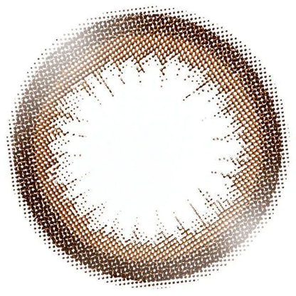 EYE CLOSET 1DAY 14.5mm SILHOUETTE CAMEL(1BOX 10SHEETS) 1