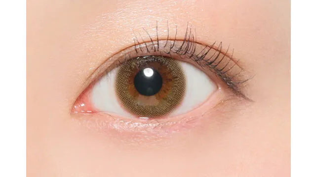 #CHOUCHOU 1DAY CARAMEL(1BOX 10SHEETS) 0