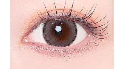 1DAY REFREAR SILICON HYDROGEL a-eye DRAMATIC GRAY(1BOX 10SHEETS) 0