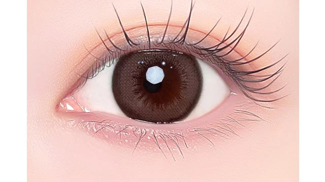 1DAY REFREAR SILICON HYDROGEL a-eye NOVA GREGE(1BOX 10SHEETS) 0