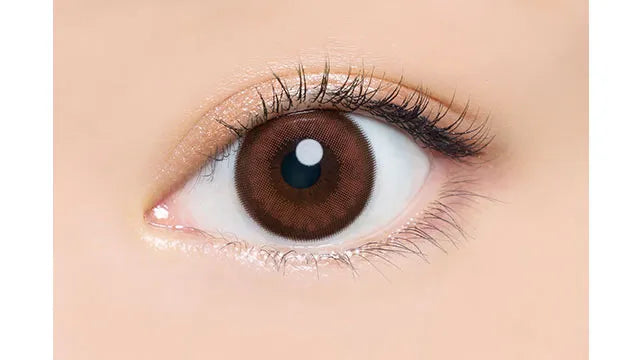 ANGELCOLOR BAMBISERIES 1DAY CASSIS BROWN(1BOX 10SHEETS) 0