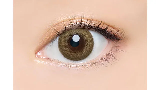 ANGELCOLOR BAMBI SERIES 1DAY LEMON HAZEL(1BOX 10SHEETS) 0