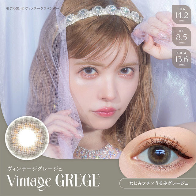 ANGELCOLOR BAMBI SERIES VINTAGE 1DAY GREGE(1BOX 10SHEETS) MAIN IMAGE