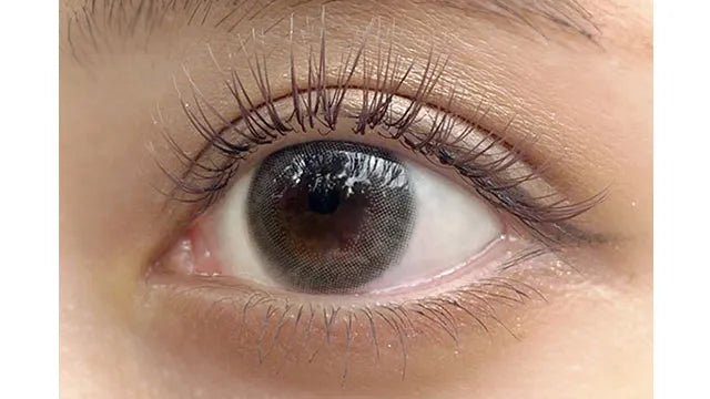 ANGELEYES 1Day ASH GRAY(1BOX 10SHEETS) 0