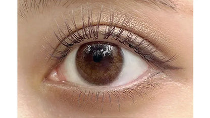 ANGELEYES 1Day ALMOND BRONZE(1BOX 10SHEETS) 0