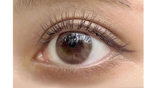 ANGELEYES 1Day ROSE BROWN(1BOX 10SHEETS) 0