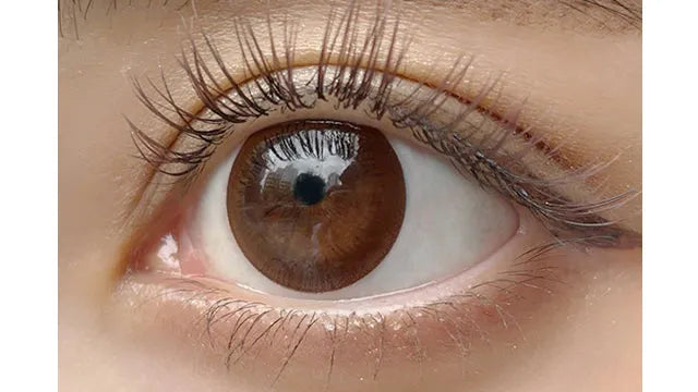 ANGELEYES 1DAY UVM VIVID BROWN(1BOX 10SHEETS) 0