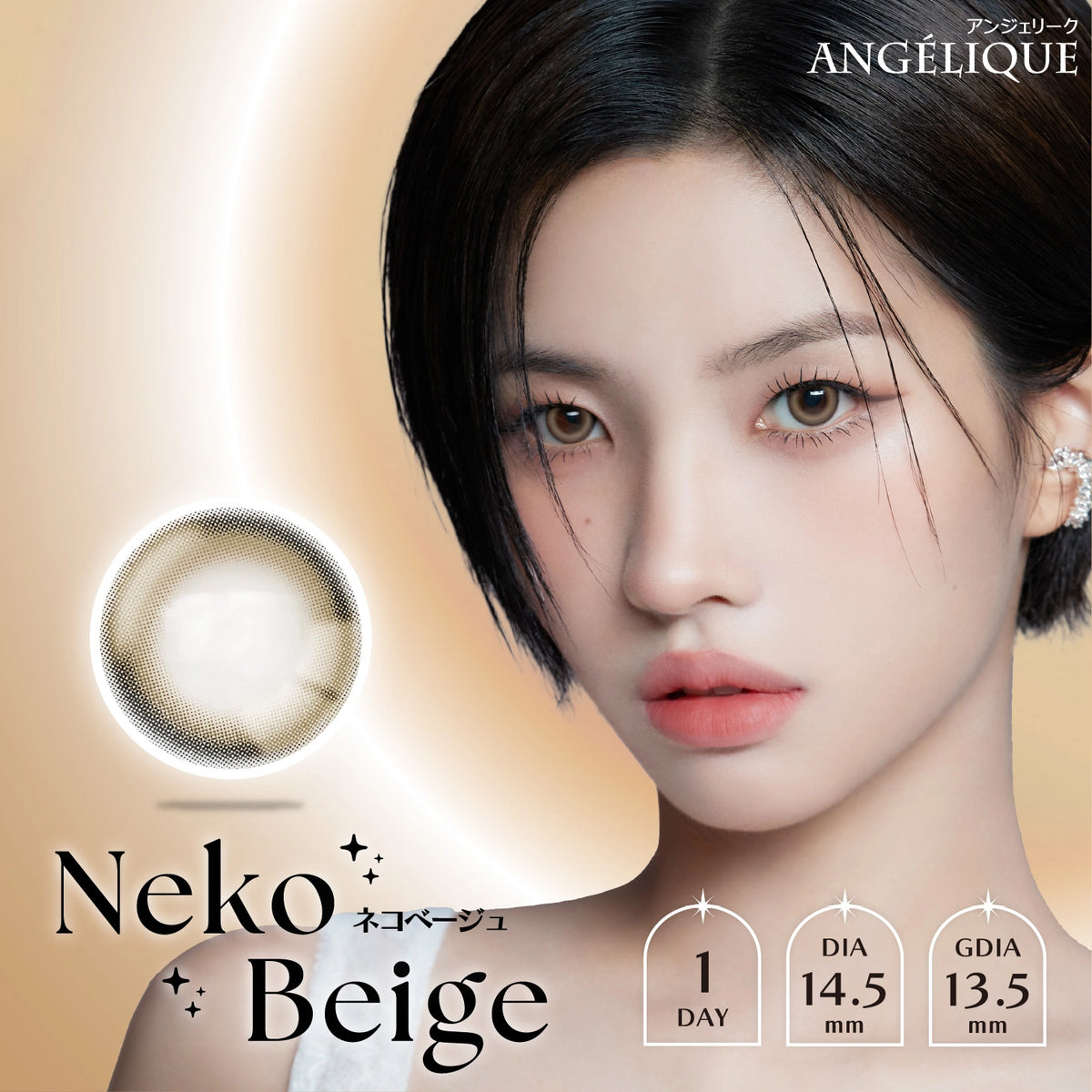 ANGELIQUE 1DAY NEKO BEIGE(1BOX 10SHEETS) MAIN IMAGE