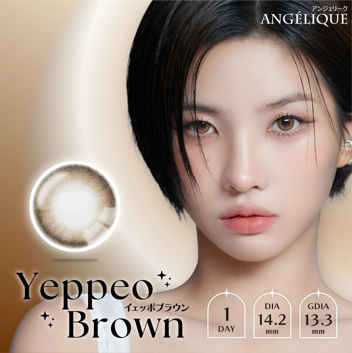 ANGELIQUE 1DAY YEPPEO BROWN(1BOX 10SHEETS) MAIN IMAGE
