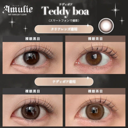 AMULIE 1DAY TEDDY BOA(1BOX 10SHEETS) 0