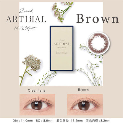 ARTIRAL 2WEEK UVM BROWN(1BOX 6SHEETS) MAIN IMAGE