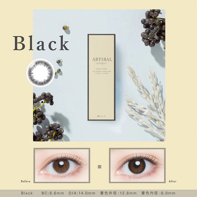 ARTIRAL UV & MOIST BLACK 1DAY(1BOX 10SHEETS) MAIN IMAGE