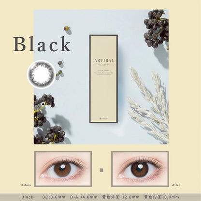 ARTIRAL UV & MOIST BLACK 1DAY(1BOX 10SHEETS) MAIN IMAGE