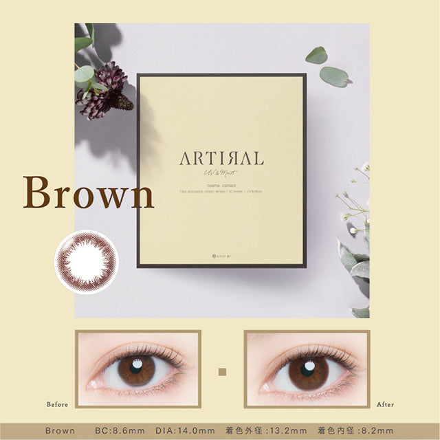 ARTIRAL UV & MOIST BROWN 1DAY(1BOX 30SHEETS) MAIN IMAGE