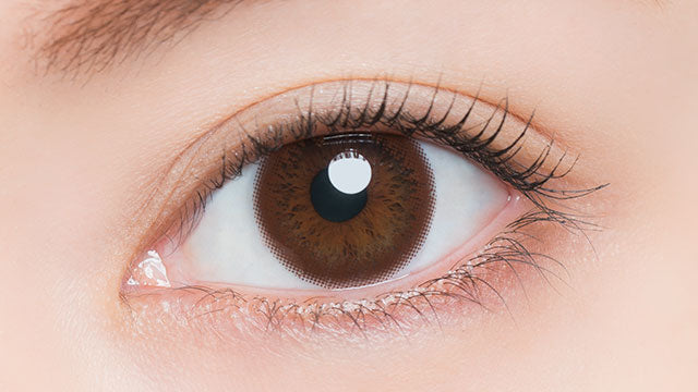 ARTIRAL UV & MOIST BROWN 1DAY(1BOX 30SHEETS) 0
