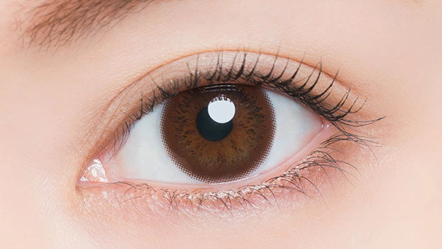 ARTIRAL UV & MOIST BROWN 1DAY(1BOX 30SHEETS) 0