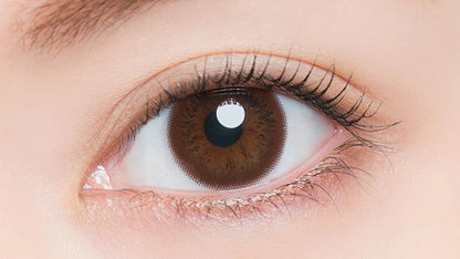 ARTIRAL UV & MOIST BROWN 1DAY(1BOX 30SHEETS) 0