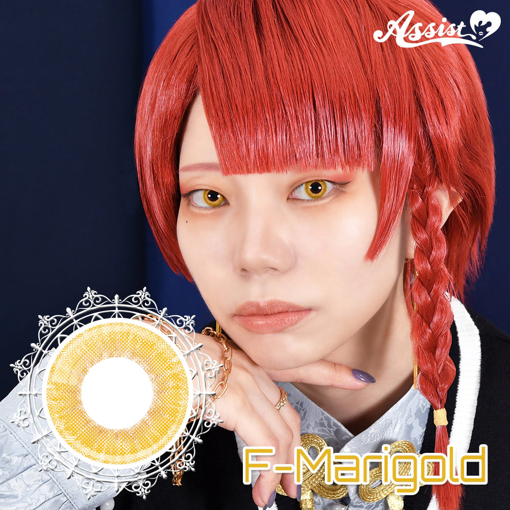 ASSIST CHOUCHOU FAVIL 1DAY F-MARIGOLD(1BOX 6SHEETS) MAIN IMAGE